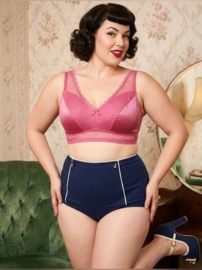 Rhonda Shear Mesh Dot Pin-Up Bra NIP
